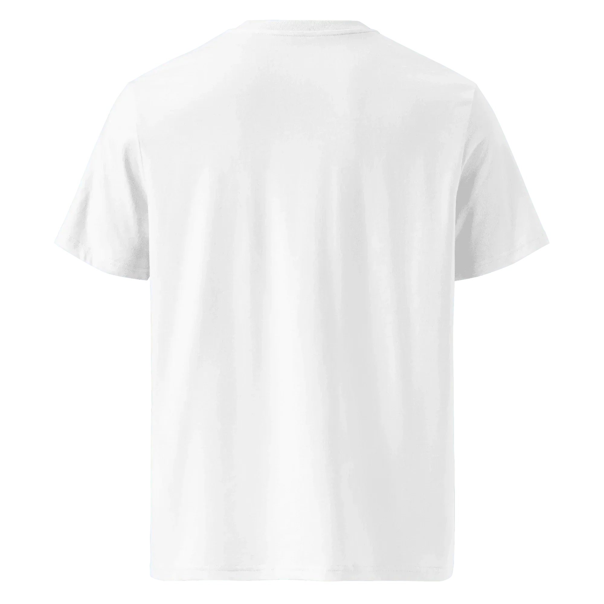 Aquarius Unisex Organic Cotton T-Shirt - Forrest Gump Edition (New Layout) - KOOMQUAT