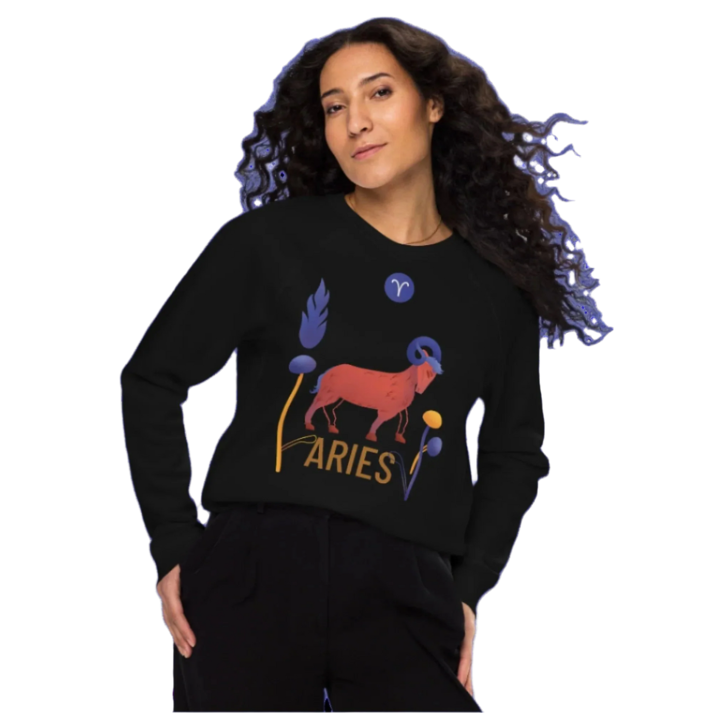 Aries Unisex Organic Raglan Sweatshirt Raw