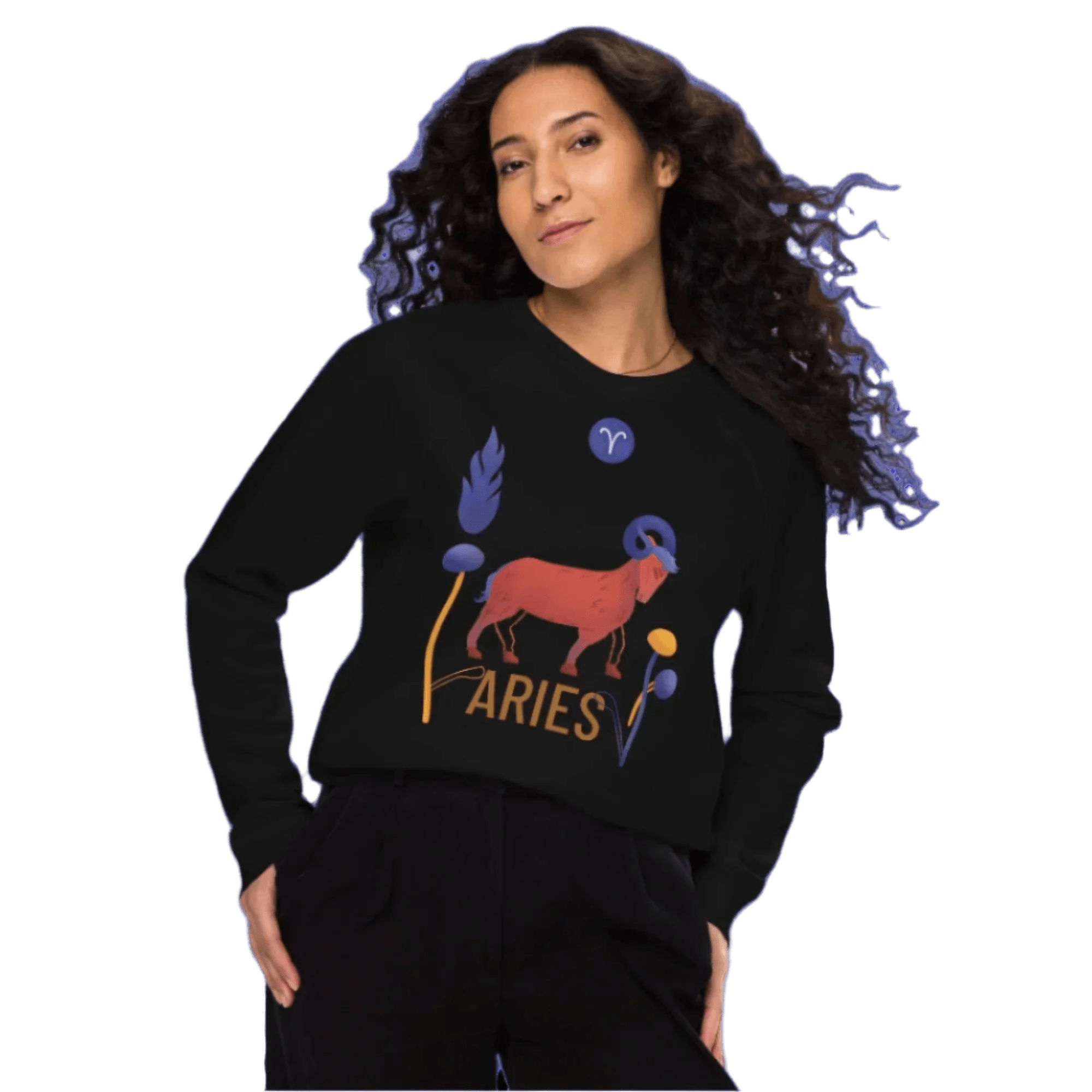 Aries Unisex Organic Raglan Sweatshirt Raw - 