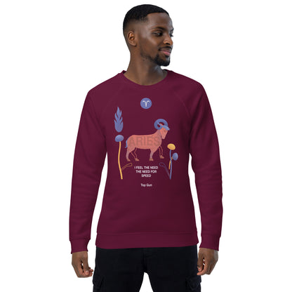 Aries Unisex Organic Raglan Sweatshirt Top Gun - Edition