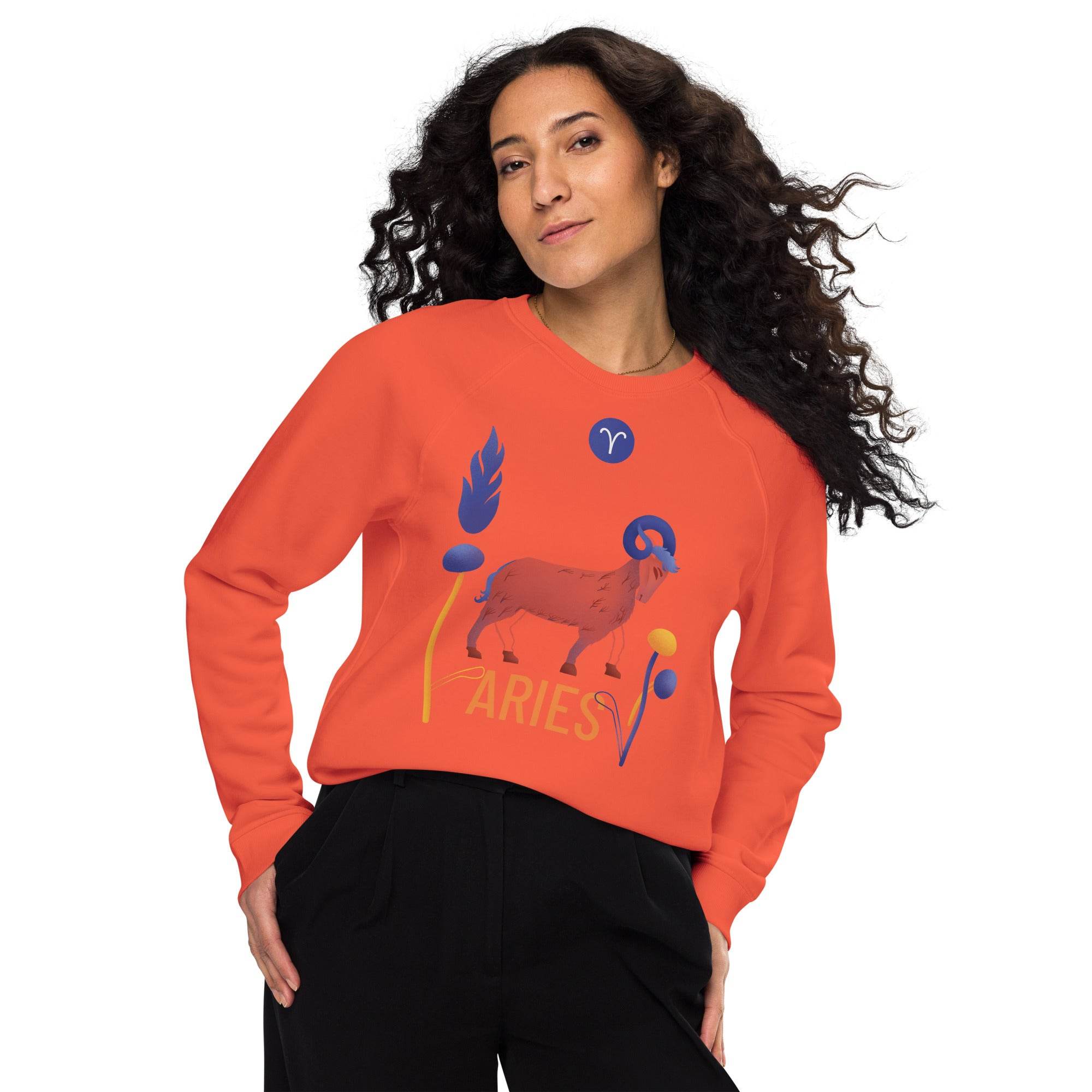 Aries Unisex Organic Raglan Sweatshirt Raw - 